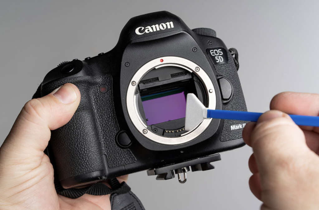 Canon camera with the image sensor exposed during professional sensor cleaning using a sensor cleaning swab.